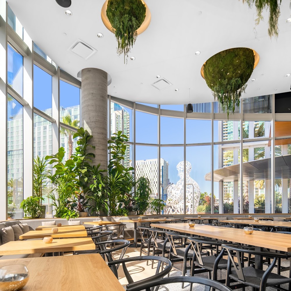 Animae in Downtown — restaurant in San Diego