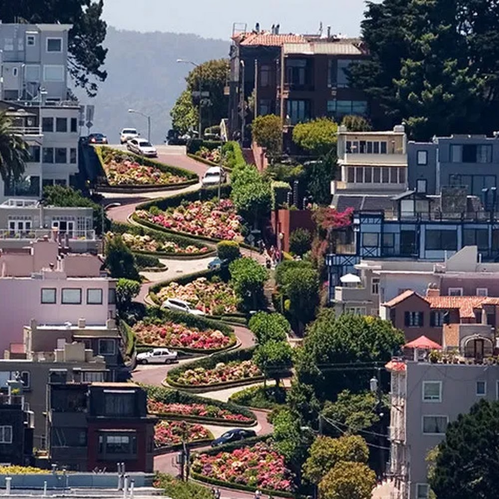 Lombard Street (Crookedest Street) at Lombard Street