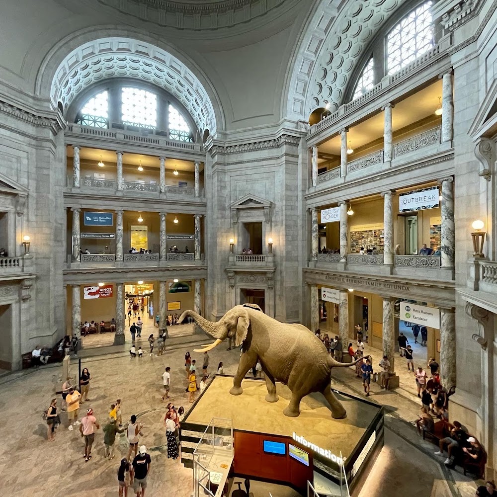 Washington DC city guide — best things to do and see