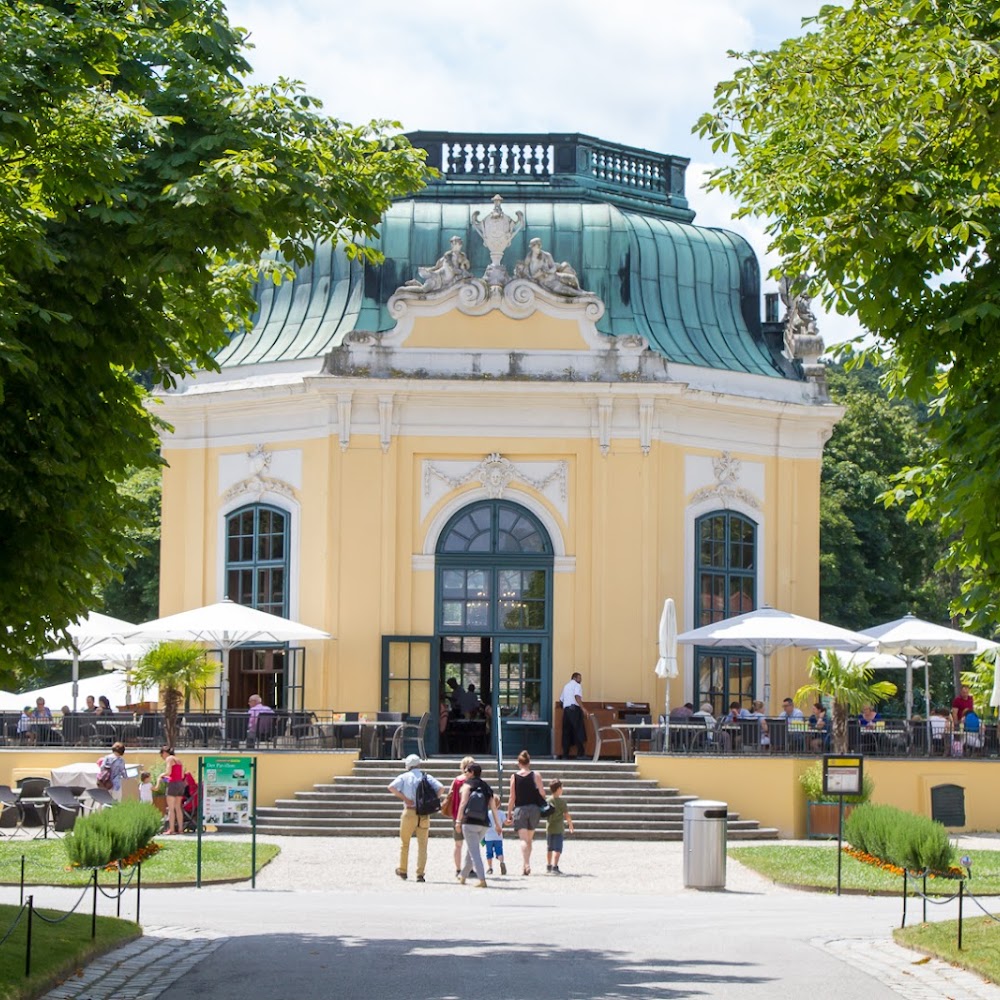 Schönbrunn Zoo in Hietzing — activity in Vienna