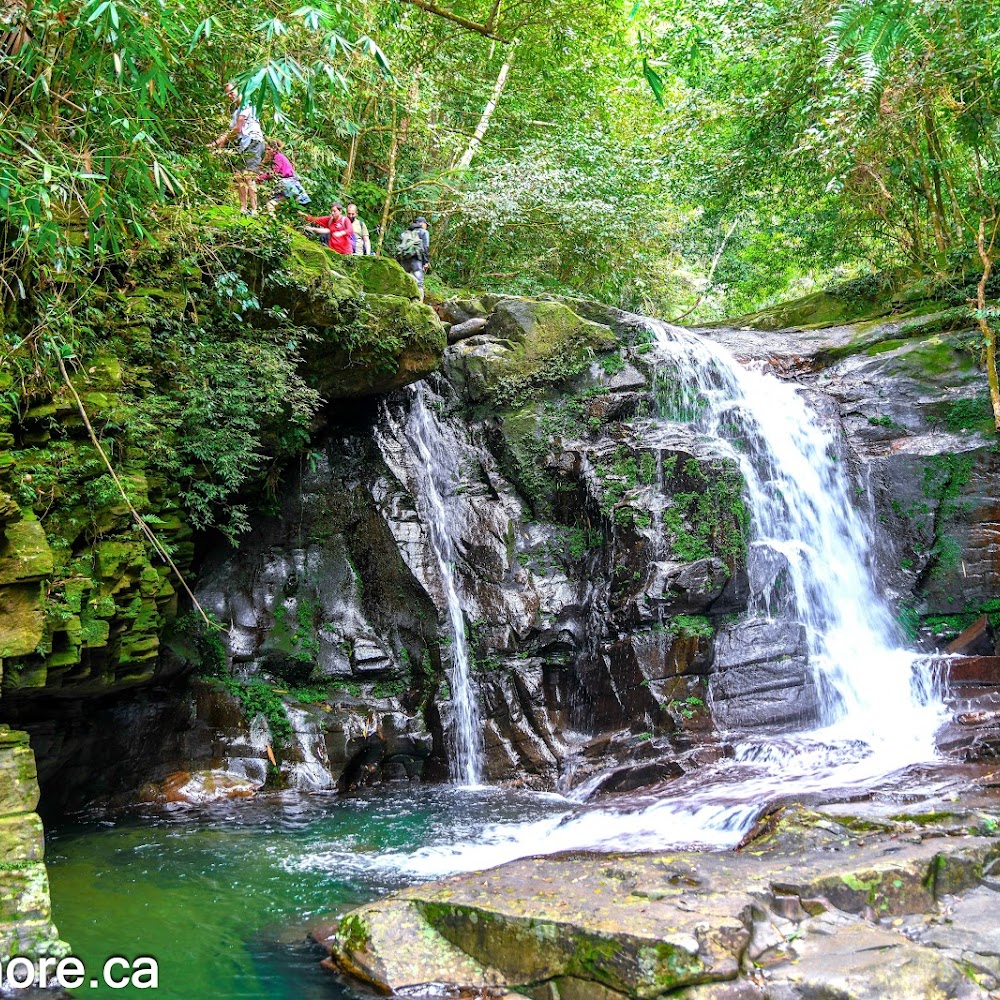 Bach Ma National Park in Bach Ma Mountain — activity in Vietnam